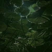 The Flirty Boyfriend