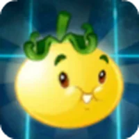 Solar Tomato