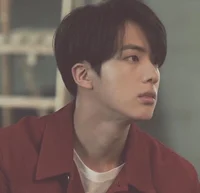 Kim seokjin