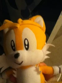 Tails nordestino 