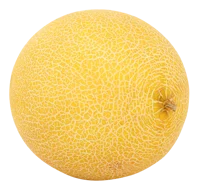 Melon