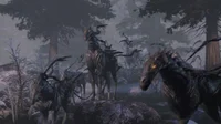 Nightmare horses 