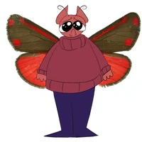 Moth Bob velseb