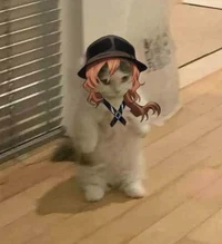 Period - chuuya