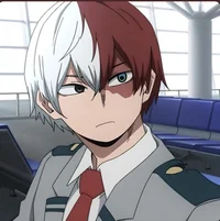 Shoto Todoroki