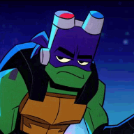ROTTMNT - Donatello