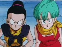 Chi-Chi and Bulma