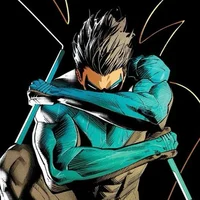 Nightwing - Richard