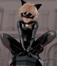 Cat Noir