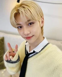 Felix Lee Fantasy AU