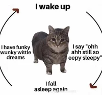 Mostspeifc name ever