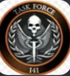 Task force team 141