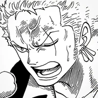 OP Roronoa Zoro