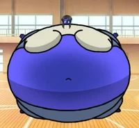 Blueberry Minamo