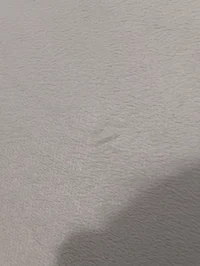 SP zombie apocalypse