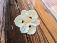 Please dont use this