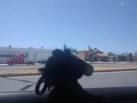 Juan