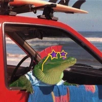 TSBS-Security Breach