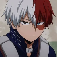 Shoto Todoroki