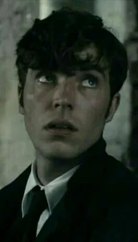 Professor Tom Riddle