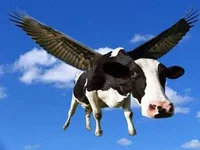 Flying cow