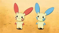 Plusle and Minun
