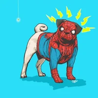 Spider perro 