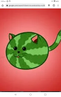 Watermelon latex cat