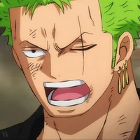 Zoro roronoa 