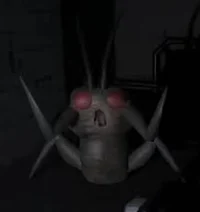 Hoarding Bug Mafia