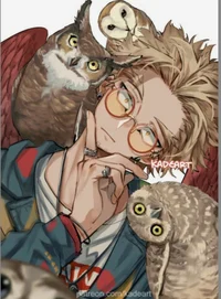 Hawks