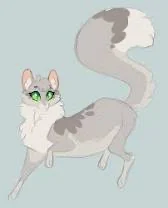 Dovewing