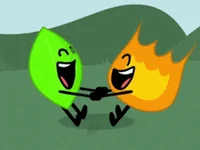 Firey And Leafy
