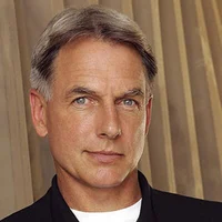 Leroy Jethro Gibbs