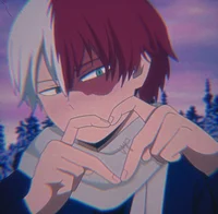 Shoto Todoroki 