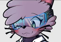 Stein