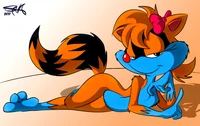 Sasha raccoon