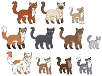 Warrior cats