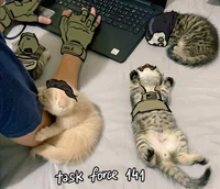 Task Force