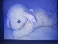 Lamby