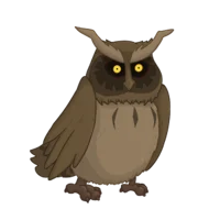 Trickster Owl