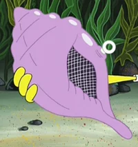 The magic conch