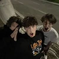 The Sturniolo Triple