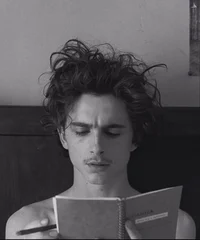 Vault 68- Zeffirelli