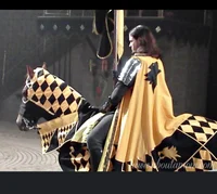 Yellow Knight