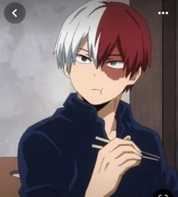 Shoto Todoroki