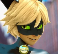 Adrien Agreste Cat