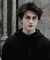-_Harry potter_-