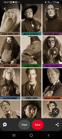 Hogwarts Proffessors