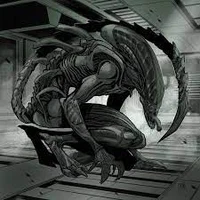 Xenomorph